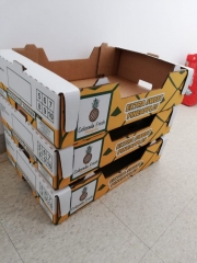 Colorada Fresh Pineapples Boxes