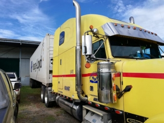 Colorada Fresh Pineapples in Packhouse for Export