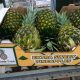 Colorada Fresh Pineapples box in packhouse